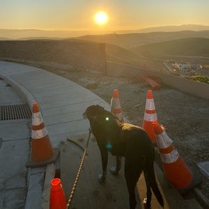 Meet your Posher, Isabella